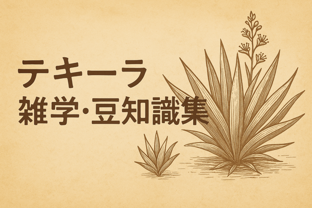 テキーラ雑学・豆知識集